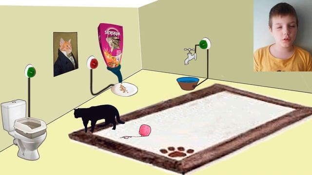 Умный Дом для кота