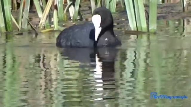 Sony HX400 zoom test смотреть онлайн