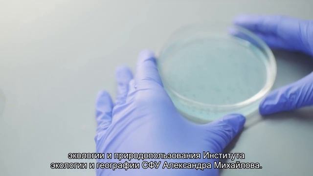 Ученые восстановили климат Сибири за последние девять тысяч лет смотреть онлайн