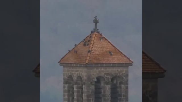 Test Zoom Panasonic Lumix Fz82