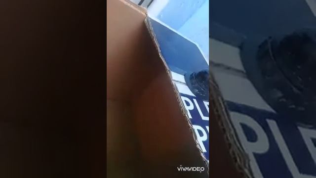 Брудер для перепелят из коробки смотреть онлайн