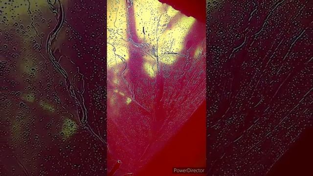 медитация созерцания воды, музыка для снятия стресса и расслабления. Music for meditation смотреть онлайн