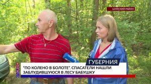 «По колено в болоте». Спасатели нашли заблудившуюся в лесу бабушку