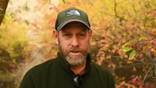 Best Camera for Bird and wildlife photography? What matters most when selecting a Lens and camera? смотреть онлайн