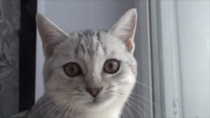 Кормушки для птиц. Чем кормить синичек и воробьёв.