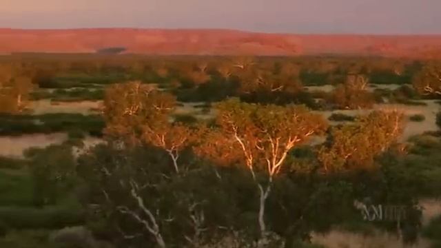 Австралия - страна попугаев 3/6 смотреть онлайн