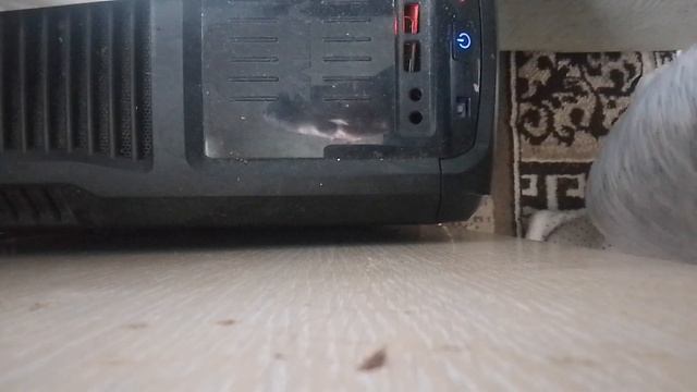 Обзор на мой пк смотреть онлайн