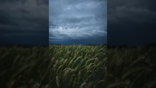 Gidayyat, Hovannii - Сомбреро