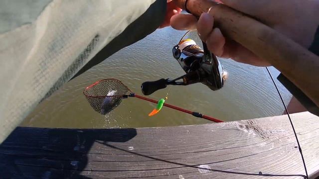 FISHERIX. 27 сентября 2023 года смотреть онлайн