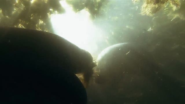 Амазонка HD смотреть онлайн