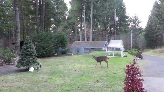 ВСЯ ПРАВДА НОВАЯ РУБРИКА ON KSKA смотреть онлайн