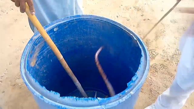 Snack catch at form hasilpur part 1 смотреть онлайн