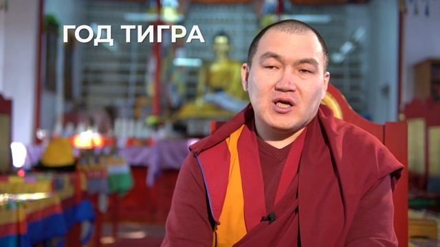 Много денег и знакомств. Гороскоп Зурхай для знака Тигр смотреть онлайн