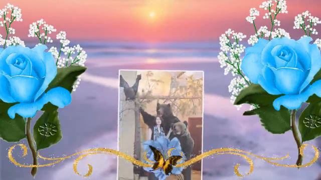 Ольга Николаева7777 смотреть онлайн