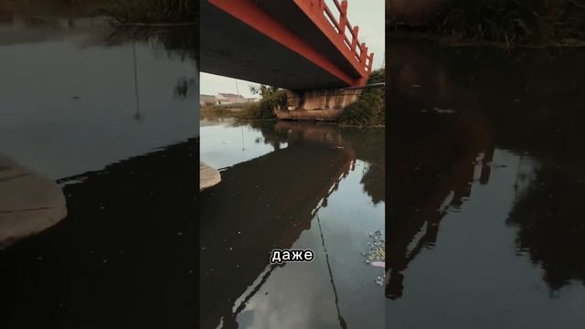 ВЕДЁМСЯ НА КИТАЙСКИЙ ПРИКОРМ. Как успешно сходить на рыбалку. смотреть онлайн