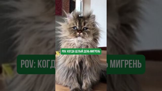 7 ноября 2023 г. смотреть онлайн