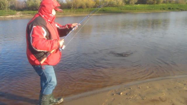 Ден багрит щучку... смотреть онлайн