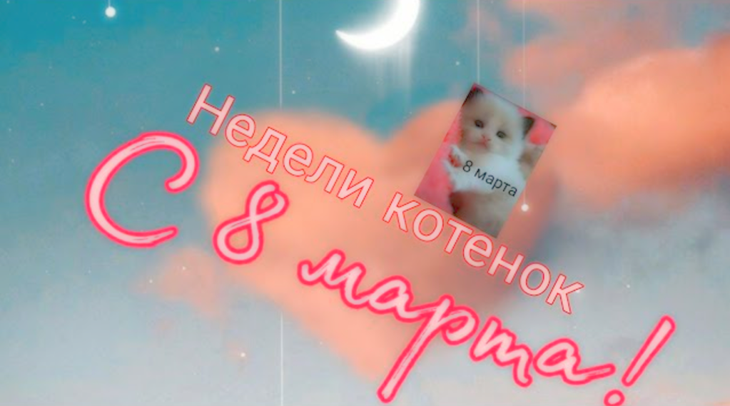 Недели котёнок С 8 марта смотреть онлайн
