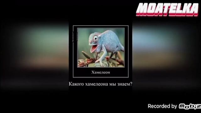 Разоблачение на имя даша смотреть онлайн