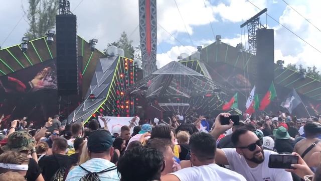 Tomorrowland 2019 - What It's Actually Like