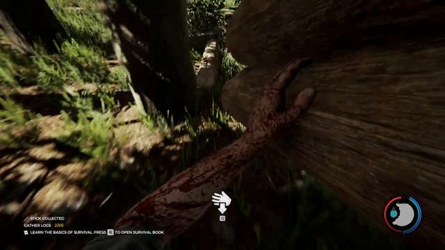 The Forest on G3260 HD 5770 and 8 Gb RAM смотреть онлайн