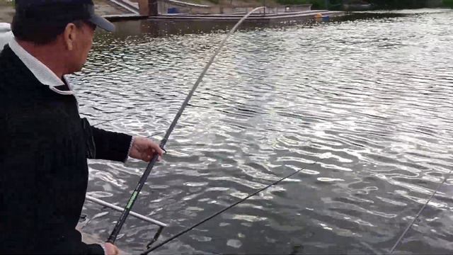 Осетр смотреть онлайн