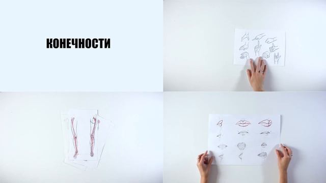 Курс: анатомия для иллюстратора смотреть онлайн