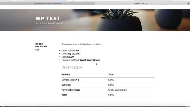 WordPress Ebook Store plugin - WooCommerce Integration and Stripe test смотреть онлайн