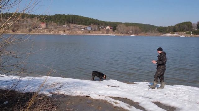 Стоит ли заводить собаку, если есть ребёнок, работа и быт? смотреть онлайн