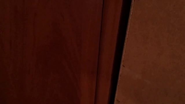 Обзор комнаты и платяного шкафа смотреть онлайн