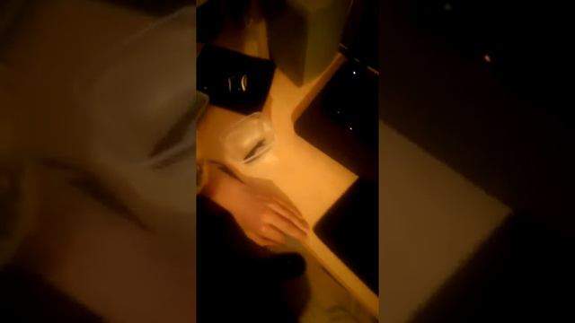 Попугай Гоша боится рыбку смотреть онлайн