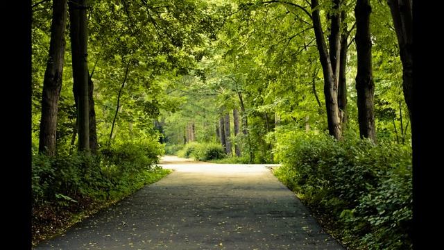 Шепоток от собаки смотреть онлайн