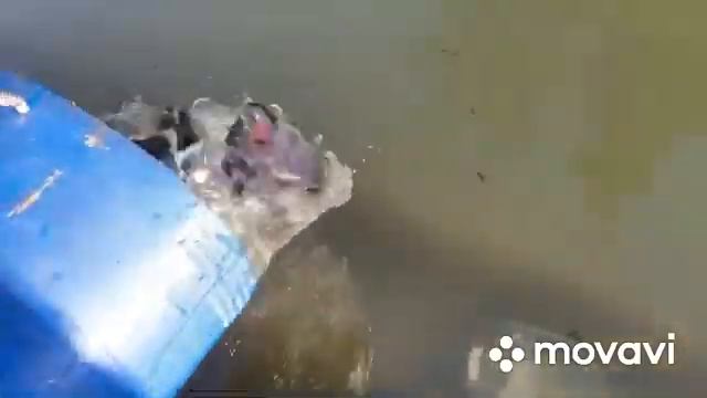 Запуск в Ольгово. смотреть онлайн