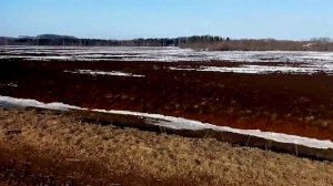 Литые диски для  Hyundai Solaris