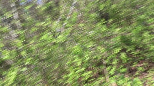 Экскурсия по доту в Кронштадте. 1. 2021. ТМД. смотреть онлайн