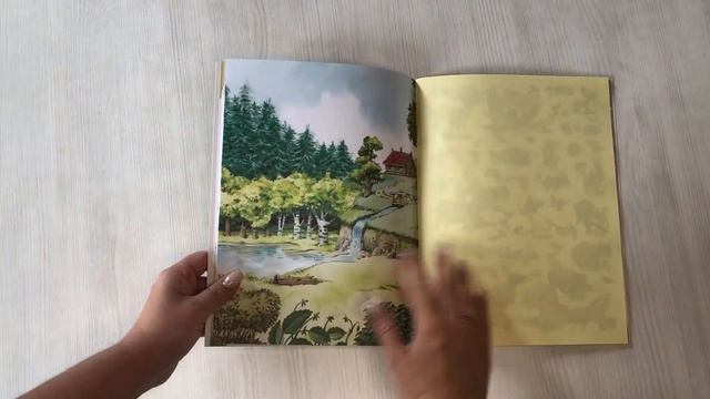 В лесу. Книга с наклейками смотреть онлайн