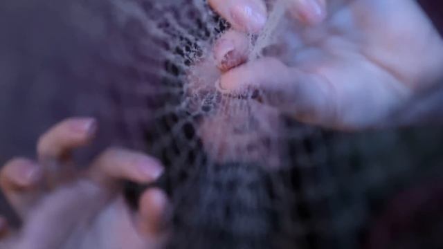 ASMR SPIDER WEB?? АСМР ПАВУТИНА??