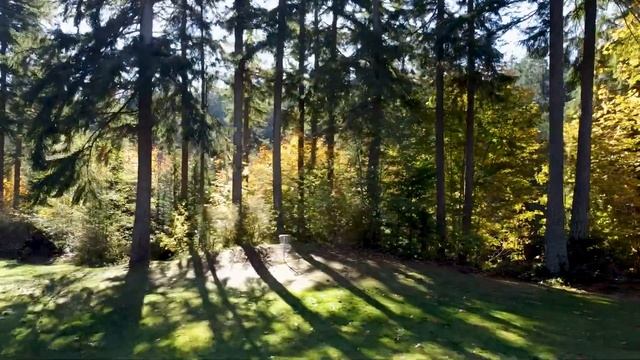 Kayak Point Disc Golf Resort - Stanwood, Washington смотреть онлайн