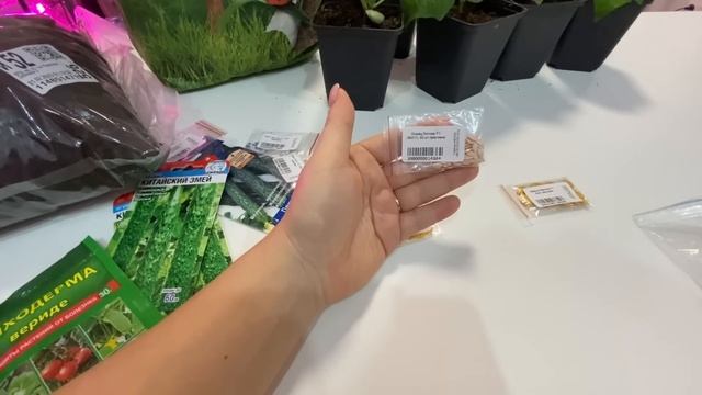 ГОТОВЛЮ ГРЯДКИ под ОГУРЦЫ в теплице. Рассада февраль 2023/ Переезд на юг/Жизнь в России смотреть онлайн