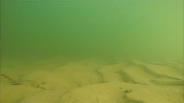 GoPro Hero 4 Black underwater fishing adventure смотреть онлайн