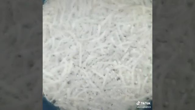 Языки и Культуры