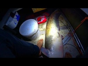 У МЕНЯ НЕ ОСТАЛОСЬ ВЫБОРА!!! СХВАТКА С СОМОМ ГОЛЫМИ РУКАМИ!!! РЫБАЛКА НА СОМА