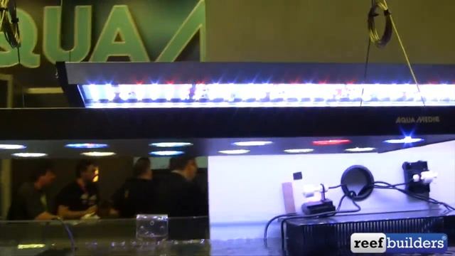 Aqua Medic K series protein skimmer, Aquarius, Spectrus, & Qube 50 LED lights смотреть онлайн