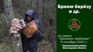Бреем берёзу и др. Дневник грибника 9 октября 2022 года.