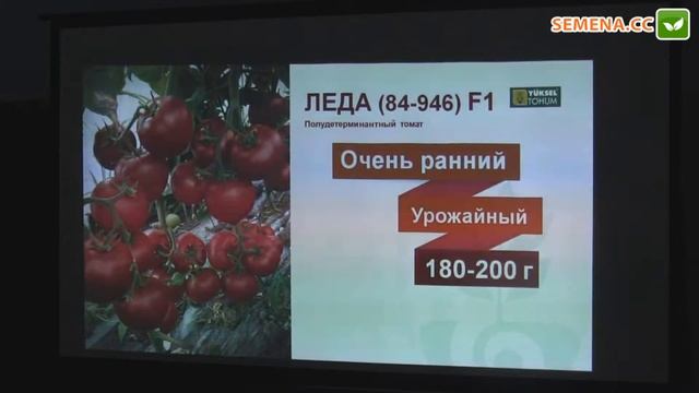 Леда F1 томат (Yuksel) семинар 29.11.2016 смотреть онлайн