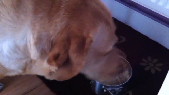 Маргоша жадина смотреть онлайн