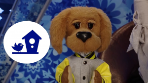 Спокойной ночи, малыши! В гости к птичкам