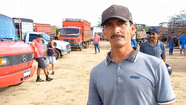 FEIRA DE GADO EM CAMPINA GRANDE-PB 14/02/2024 смотреть онлайн
