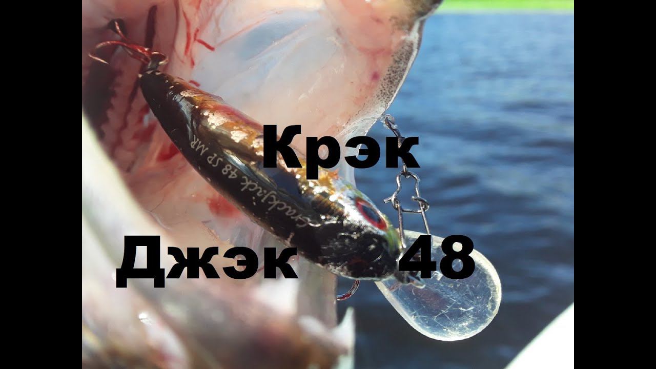 Размер воблера на щуку Крэк Джэк 48 Надо ли брать рыбу смотреть онлайн