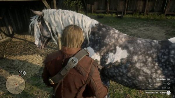 Missouri Fox Trotter Horse Spawn - Red Dead Redemption 2